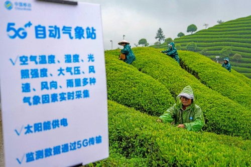 助力共同富裕 中國移動在世界互聯網大會上發布五項創新方案，賦能臺州數字化建設