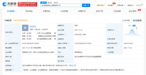注冊(cè)資本20億元！小米在武漢成立企業(yè)管理公司，赤壁企業(yè)網(wǎng)站建設(shè)迎來(lái)新啟示